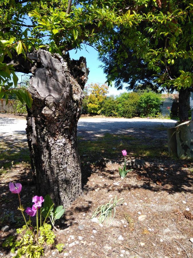 Quinta Do Sol Lägenhet Alijó Exteriör bild